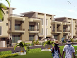 Rosewood