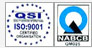 QSI