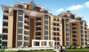 Rosewood Premium Apartment